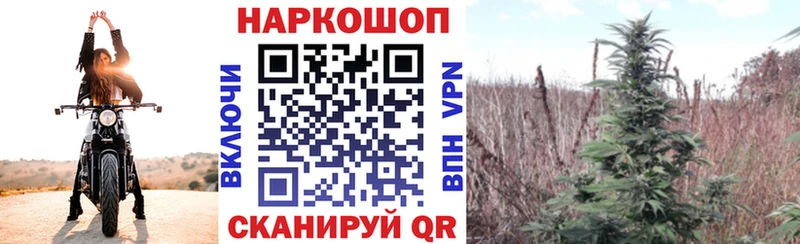 Купить наркотики сайты Берёзовка Alpha PVP MDMA ГАШИШ Псилоцибиновые грибы Марихуана Cocaine